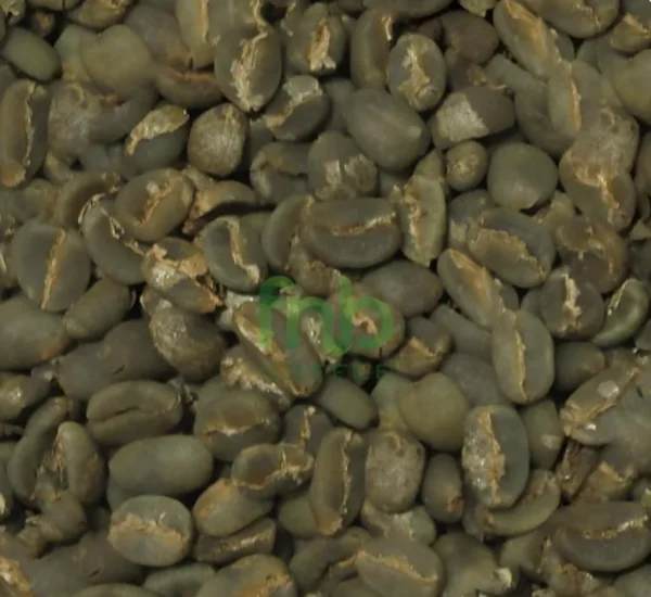 Java Ijen Coffee