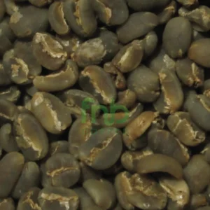 Java Preanger Coffee