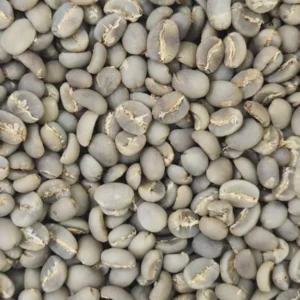 Java Preanger Semi Wash