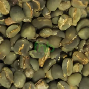 Kalosi Coffee