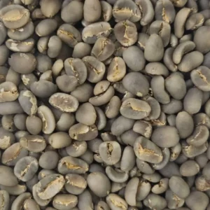 Lintong Semi Wash