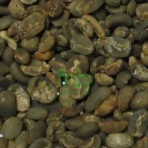 Organic Mandheling Sumatra Coffee
