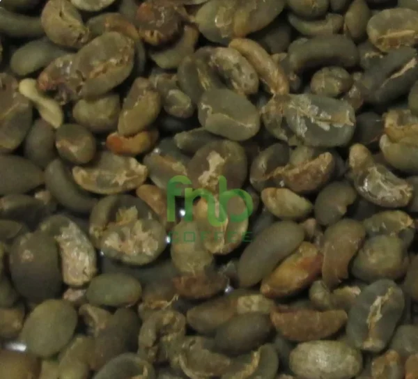 Organic Mandheling Sumatra Coffee