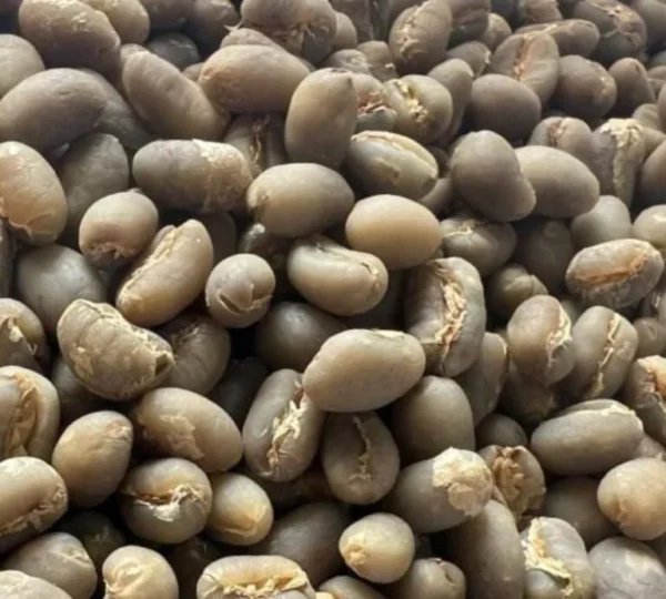 Peaberry Coffee