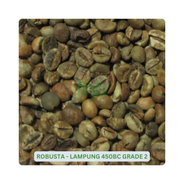 Robusta Lampung 450BC Grade-3
