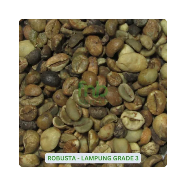 Robusta Lampung 450BC Grade-3