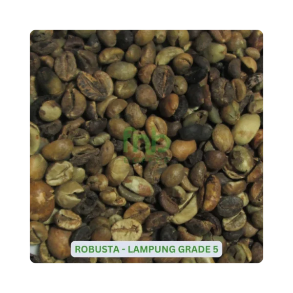 Robusta Lampung Grade-5