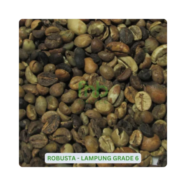 Lampung Coffee - Image 3
