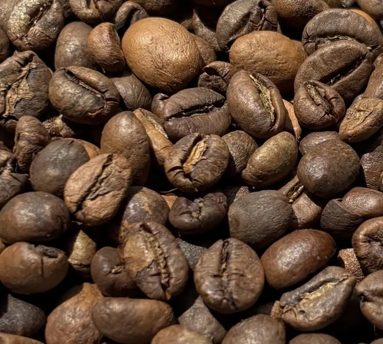 Sumatra Robusta Coffee - Image 4