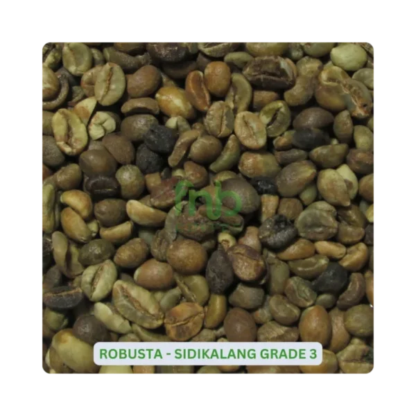 Robusta Sidikalang Grade-3