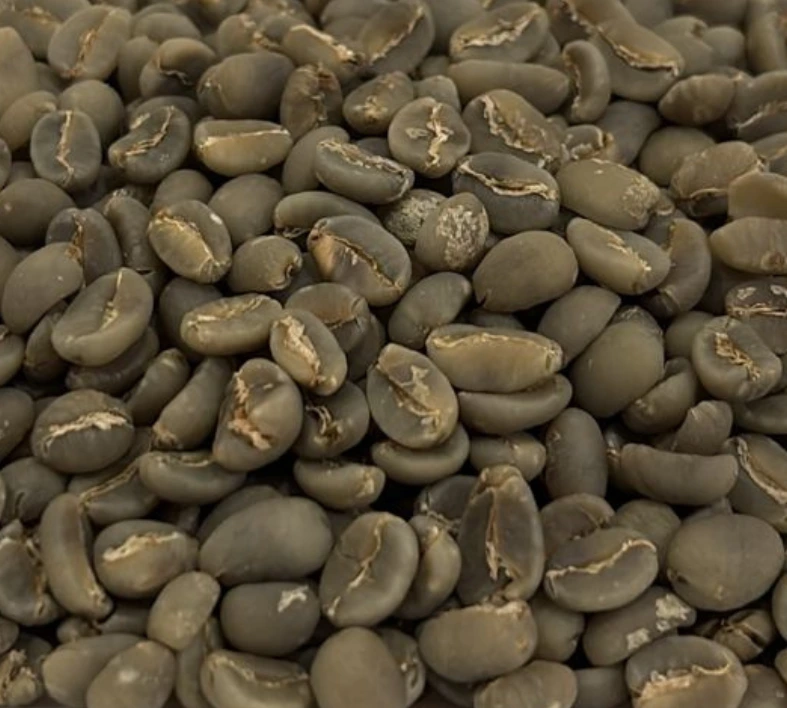 arabica bali kintamani