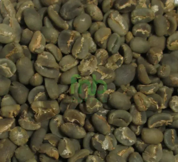 Sumatra Lintong Coffee