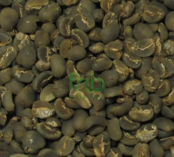 Sumatra Mandheling Coffee