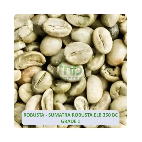 Sumatra-Robusta-ELB-350-BC-Grade-1-1