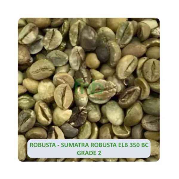 Sumatra-Robusta-ELB-350-BC-Grade-2