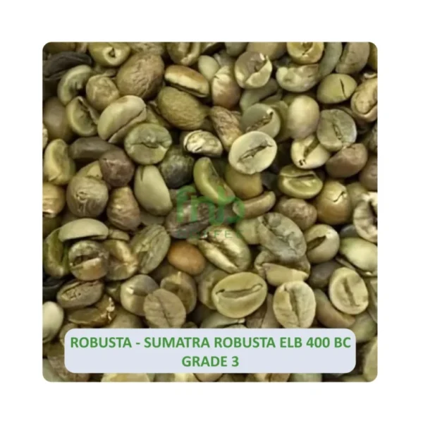 Sumatra-Robusta-ELB-400-BC-Grade-3