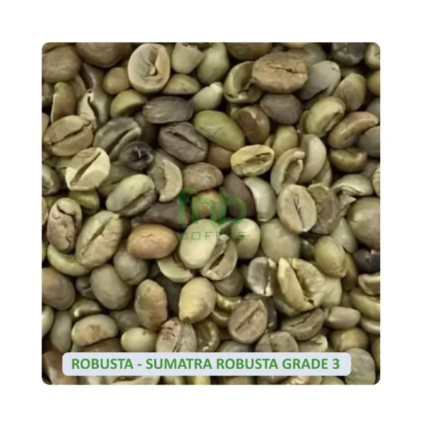 Sumatra-Robusta-Grade-3