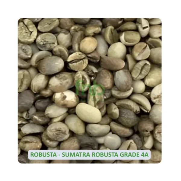 Sumatra-Robusta-Grade-4A
