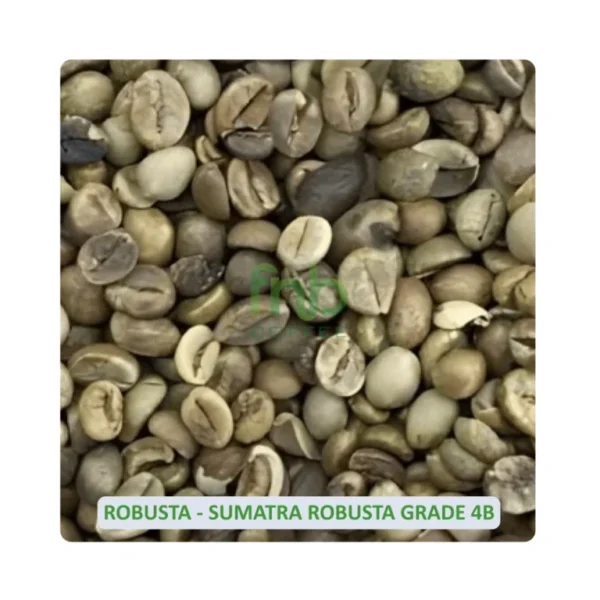Sumatra-Robusta-Grade-4B