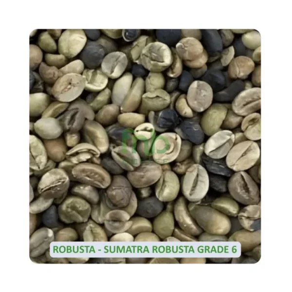 Sumatra-Robusta-Grade-6