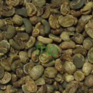 Sumatra-Tiger-Grade-3