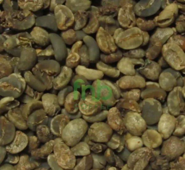 Sumatra-Tiger-Grade-3