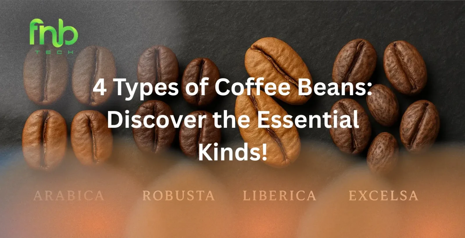 Types of Coffee Beans