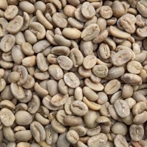 Kopi Luwak Coffee
