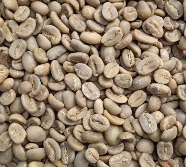 Kopi Luwak Coffee