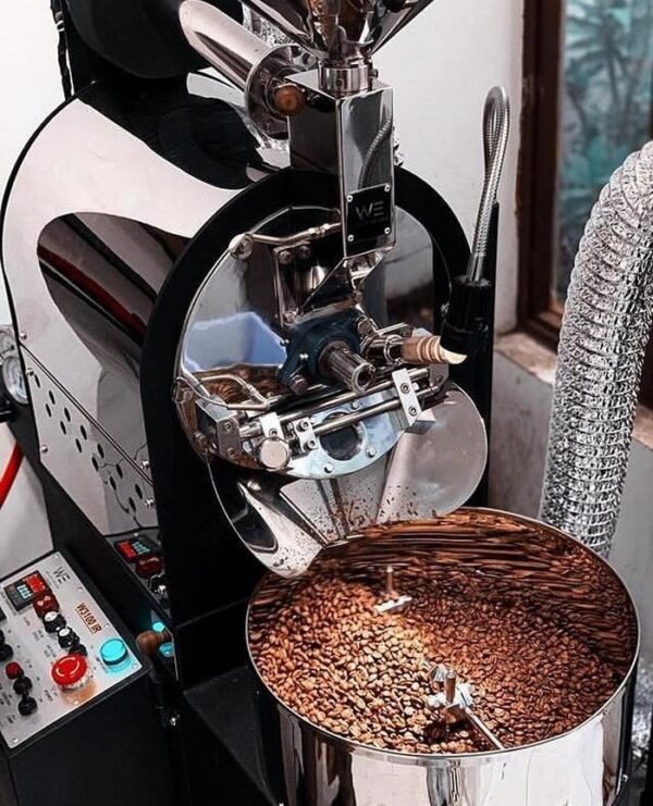 Wiliam Edison Roaster Machine W3100 - W3100 IR - 2
