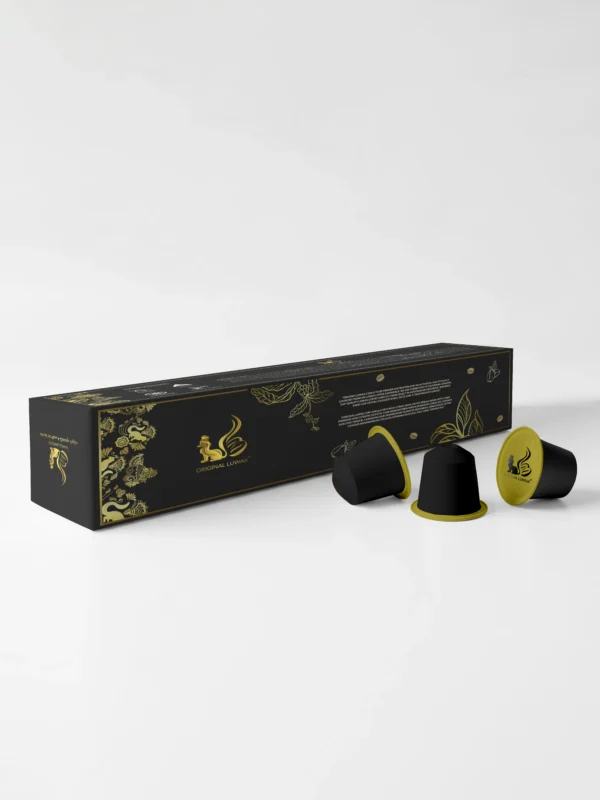 Box Kapsul (Sisi 3)