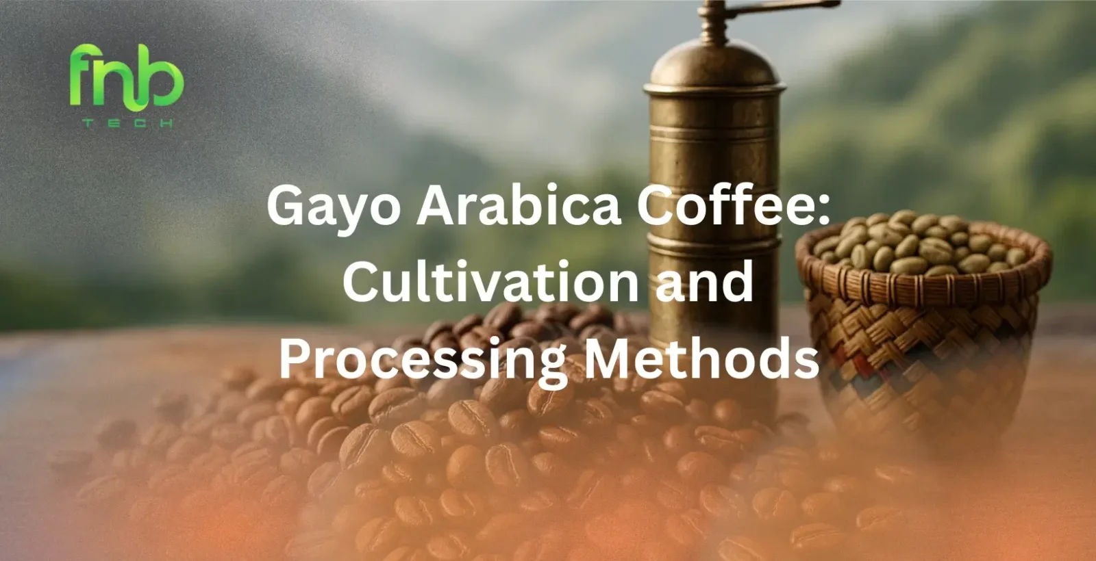 Gayo Arabica Coffee