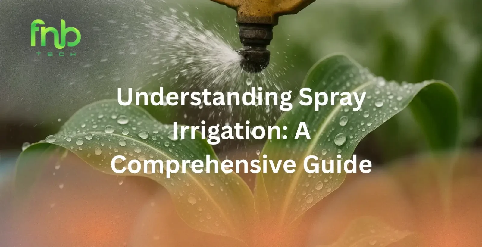 Spray Irrigation