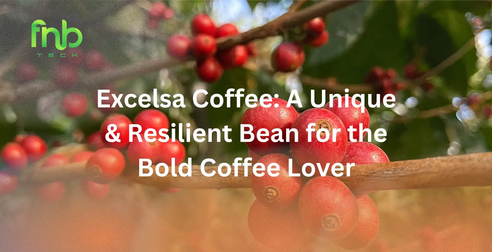 Excelsa Coffee