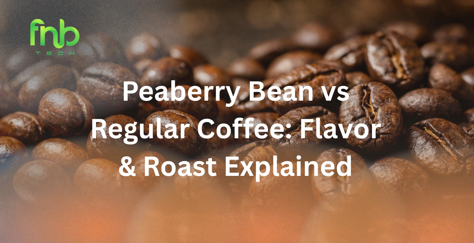 peaberry bean
