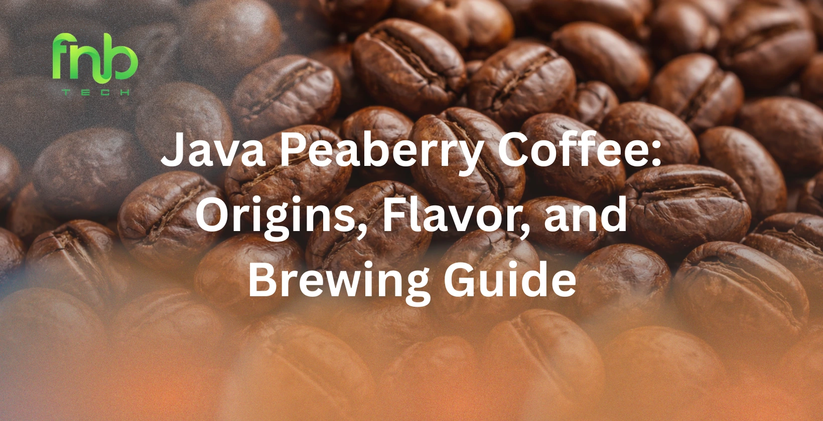 java peaberry coffee