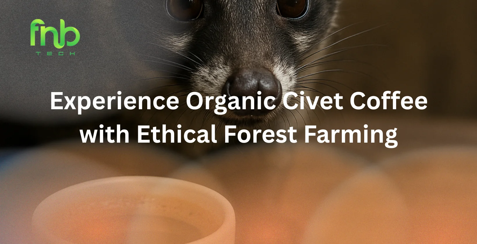 organic civet coffee