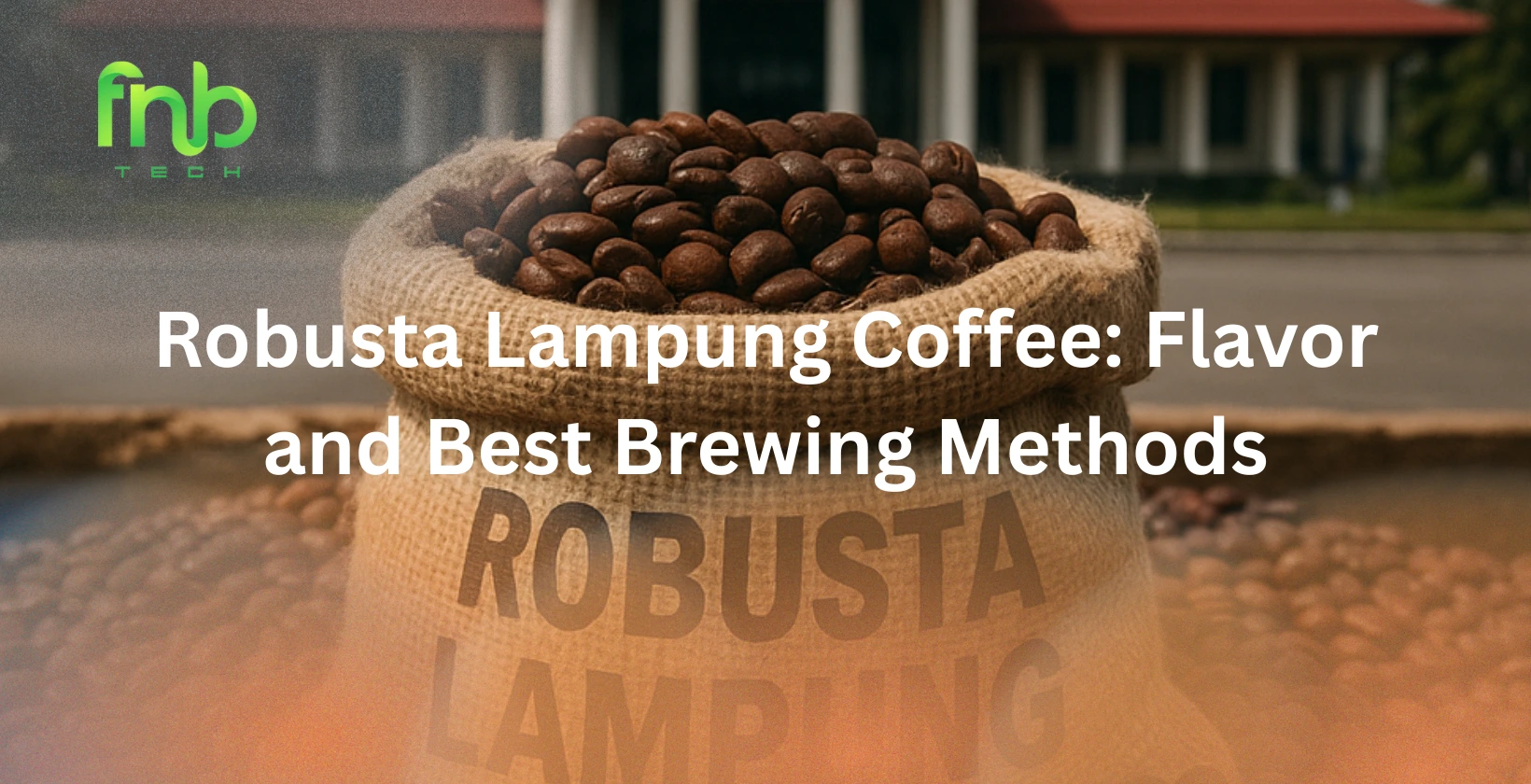 robusta lampung