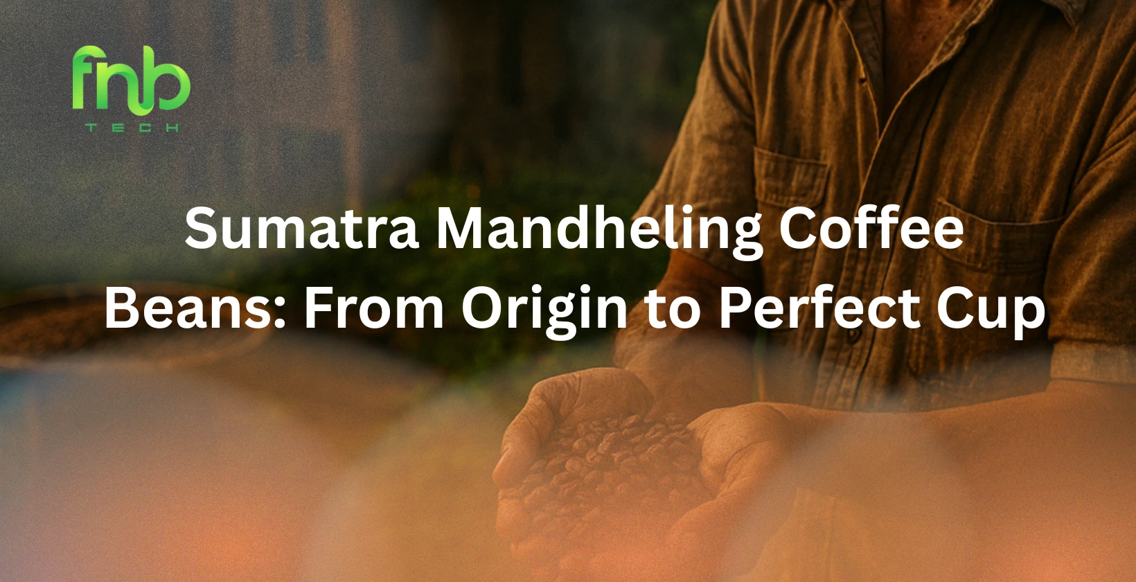 sumatra mandheling coffee beans