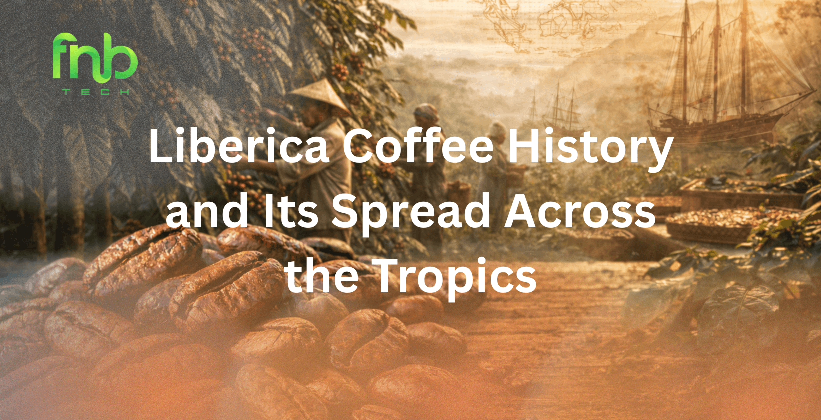 liberica coffee history