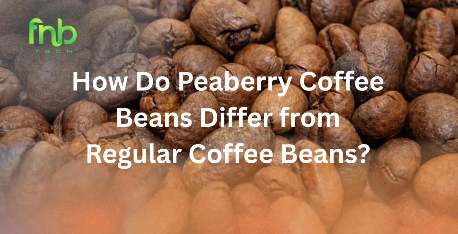 Peaberry Coffee Beans