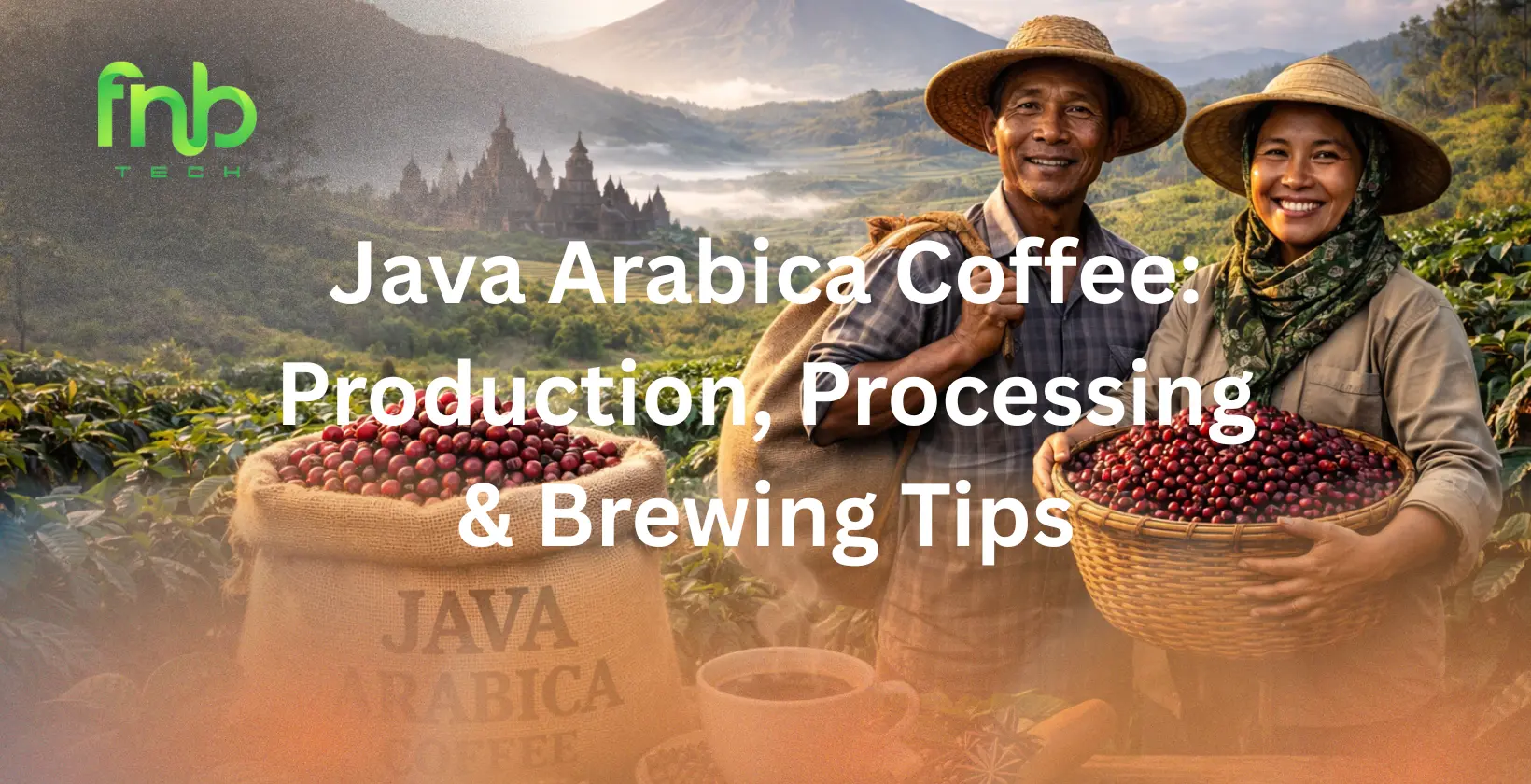 java arabica coffee