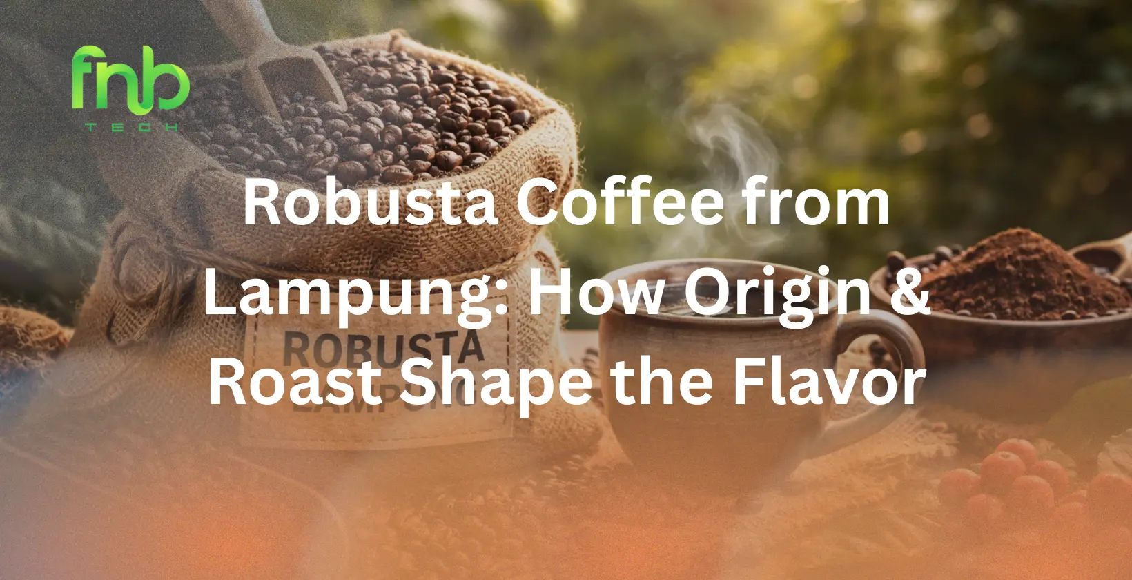 robusta coffee from lampung
