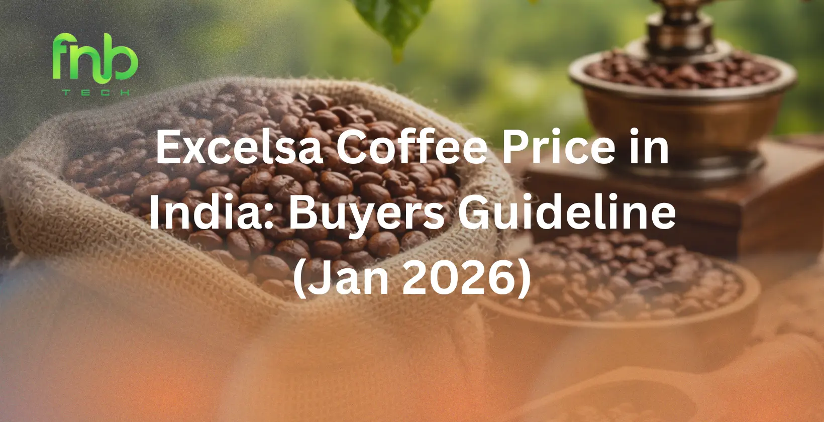 excelsa coffee price in india