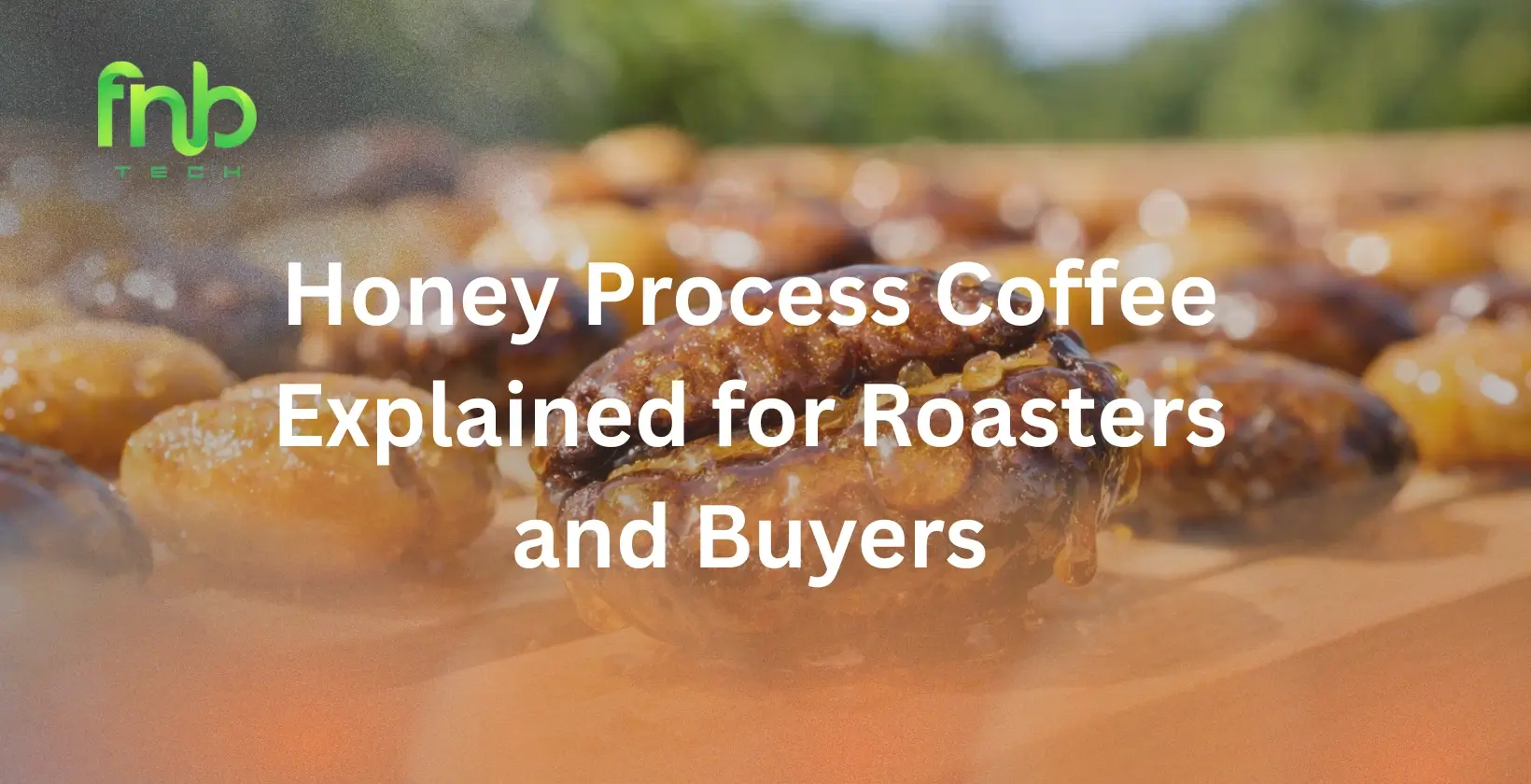 Honey Process Coffee