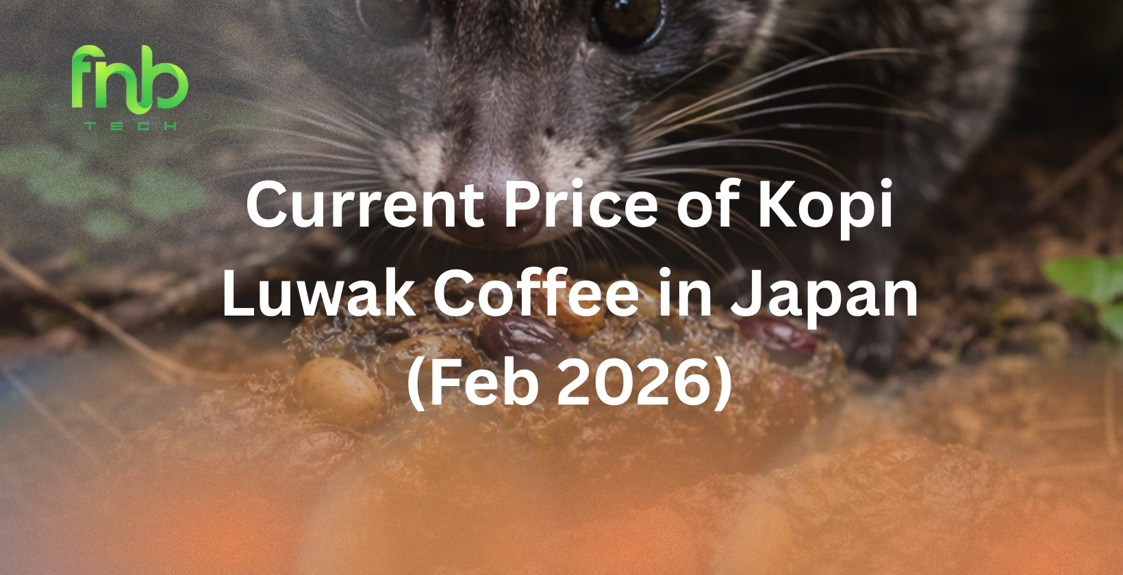 price of kopi luwak coffee