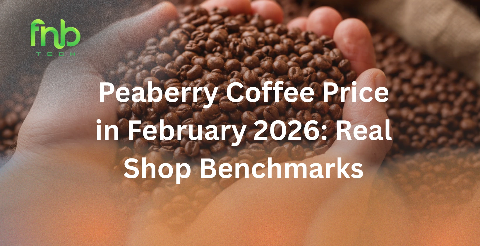 peaberry coffee price