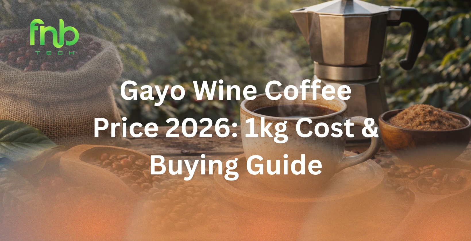 gayo wine coffee price