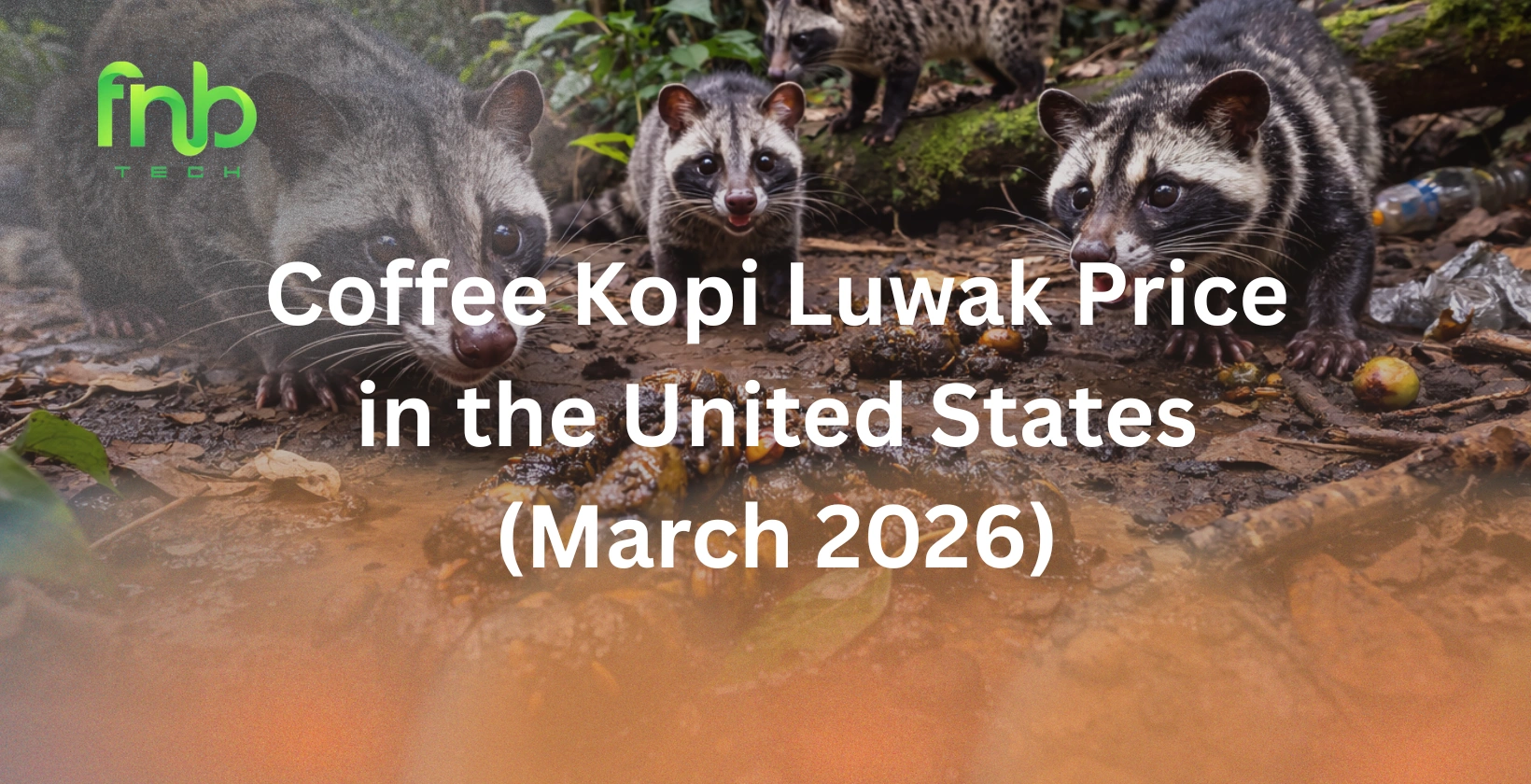 coffee kopi luwak price