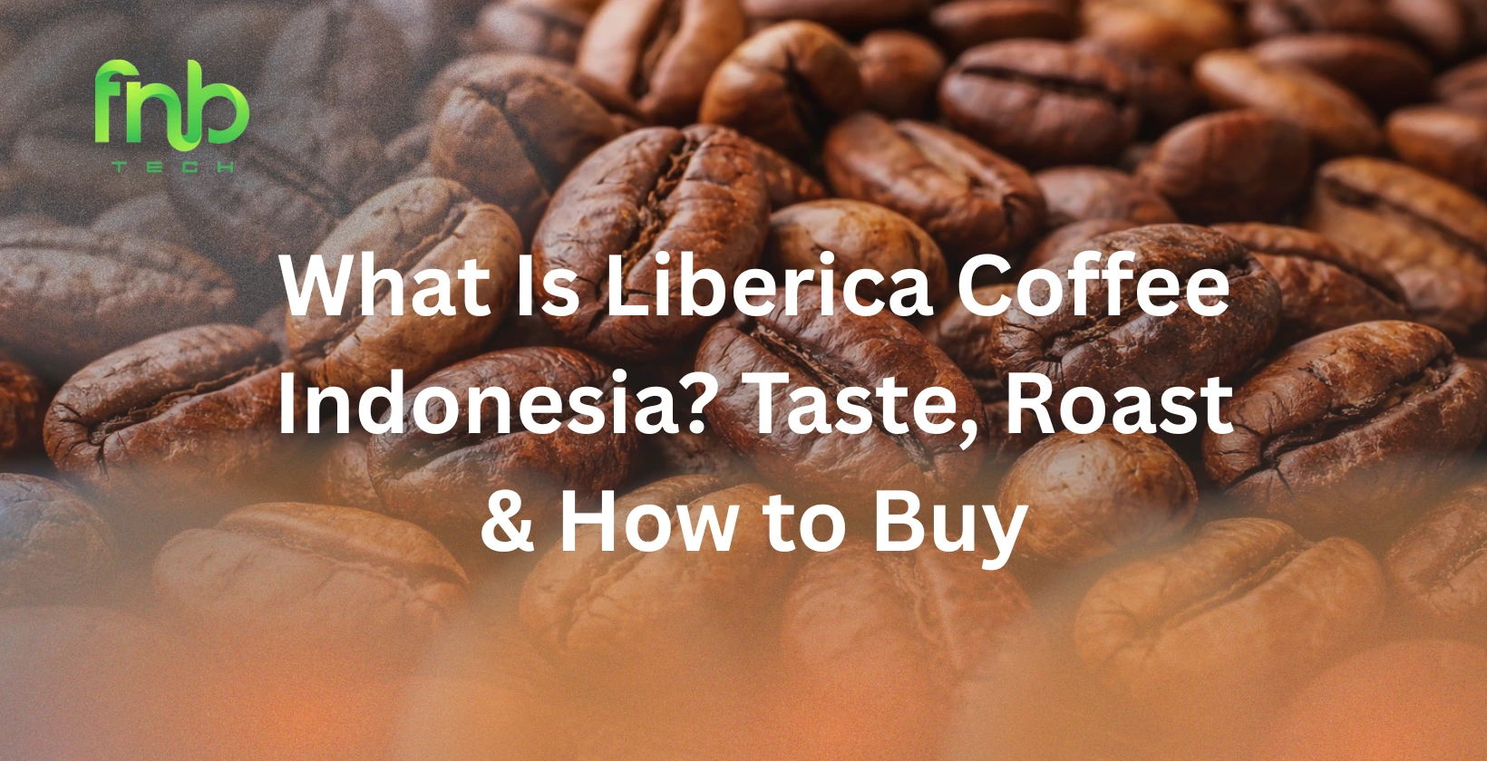 liberica coffee indonesia